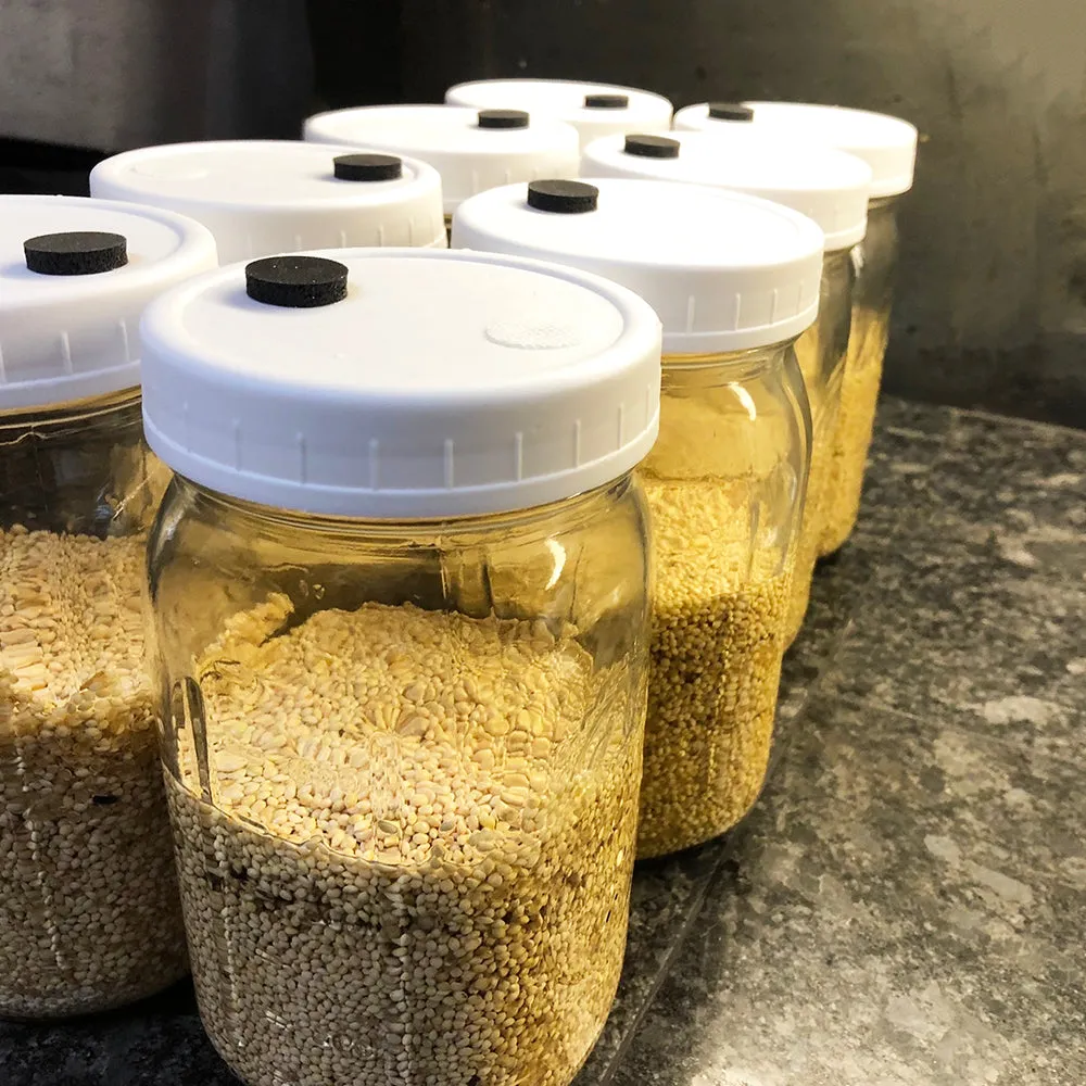 1qt Millet Jar