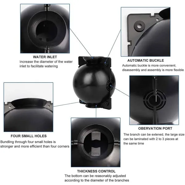 5 5 FREE | RootPro™ Root Balls for Plant Propagation