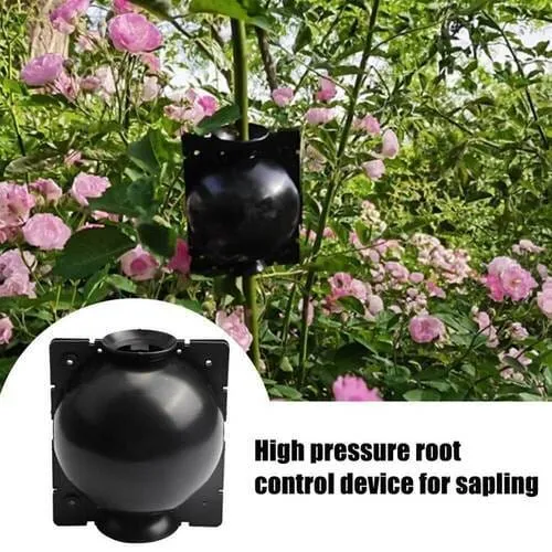 5 5 FREE | RootPro™ Root Balls for Plant Propagation