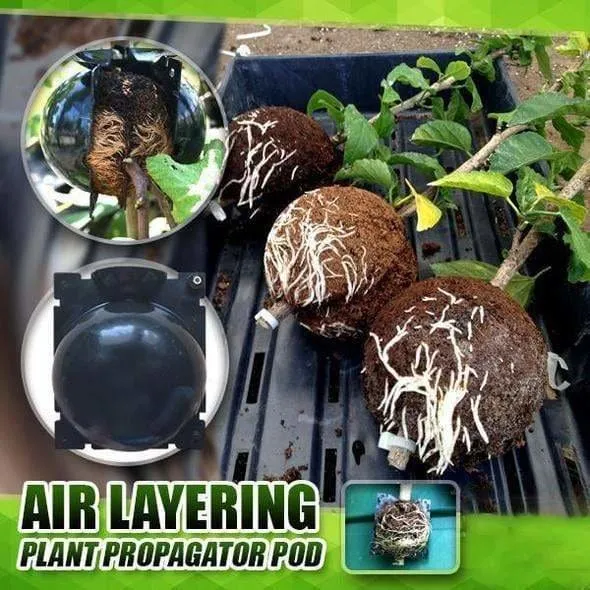 5 5 FREE | RootPro™ Root Balls for Plant Propagation