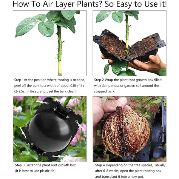 5 5 FREE | RootPro™ Root Balls for Plant Propagation