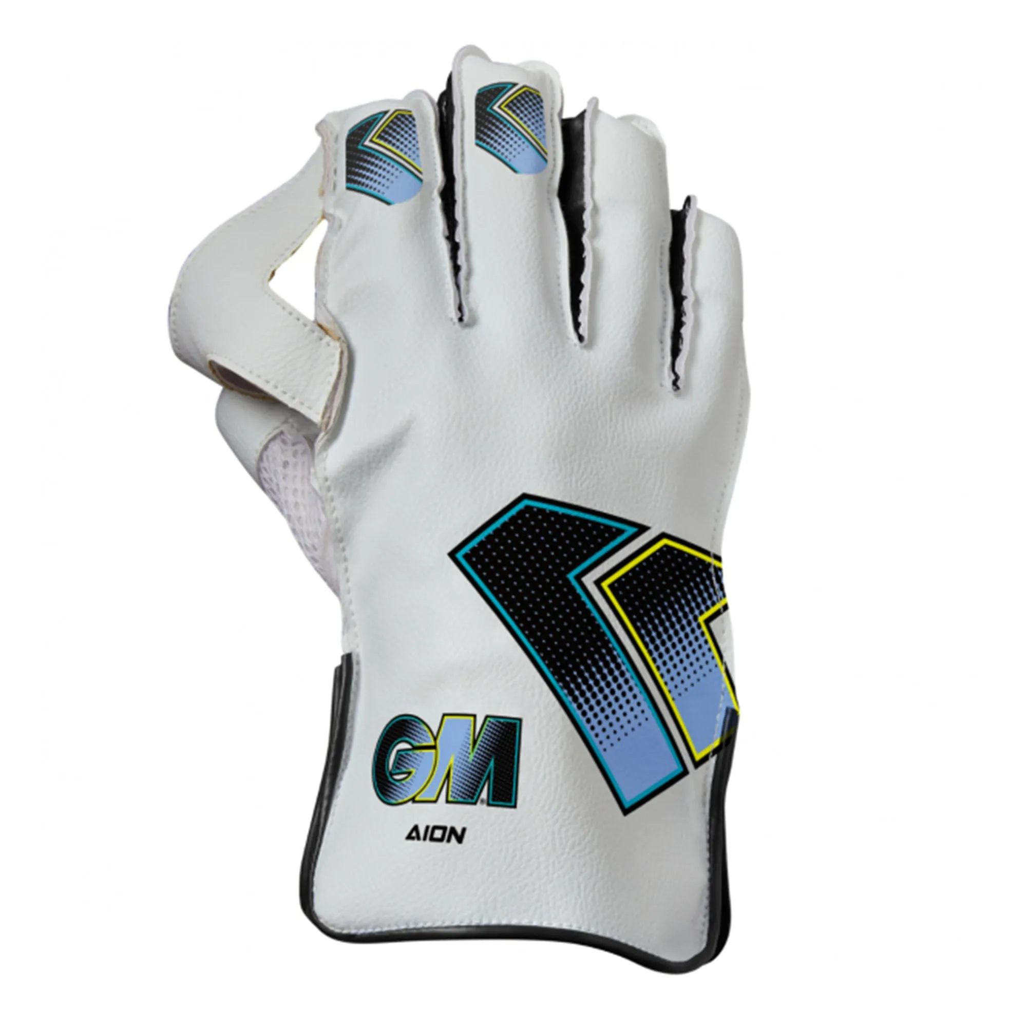 Aion Wicket Keeping Cricket Gloves