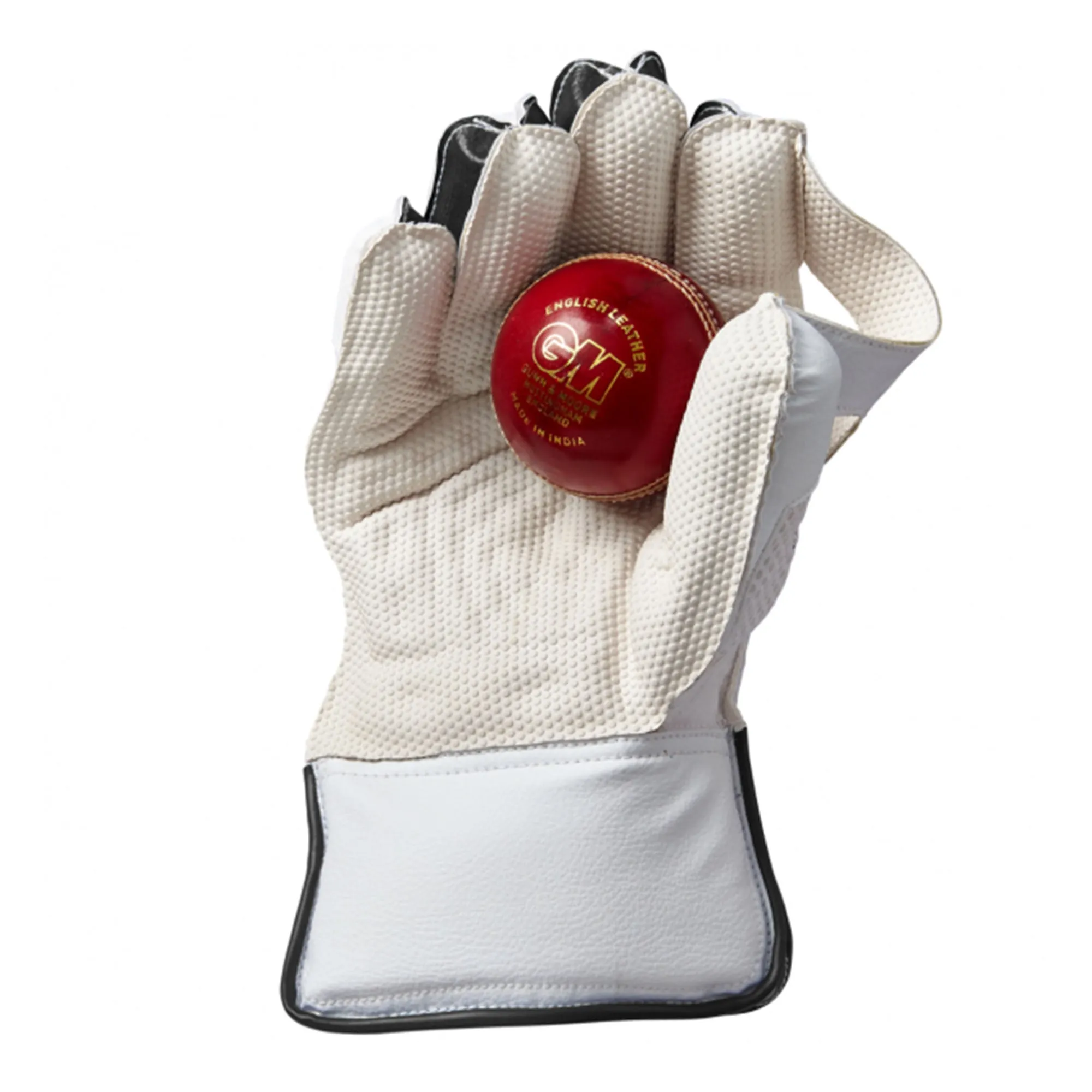 Aion Wicket Keeping Cricket Gloves