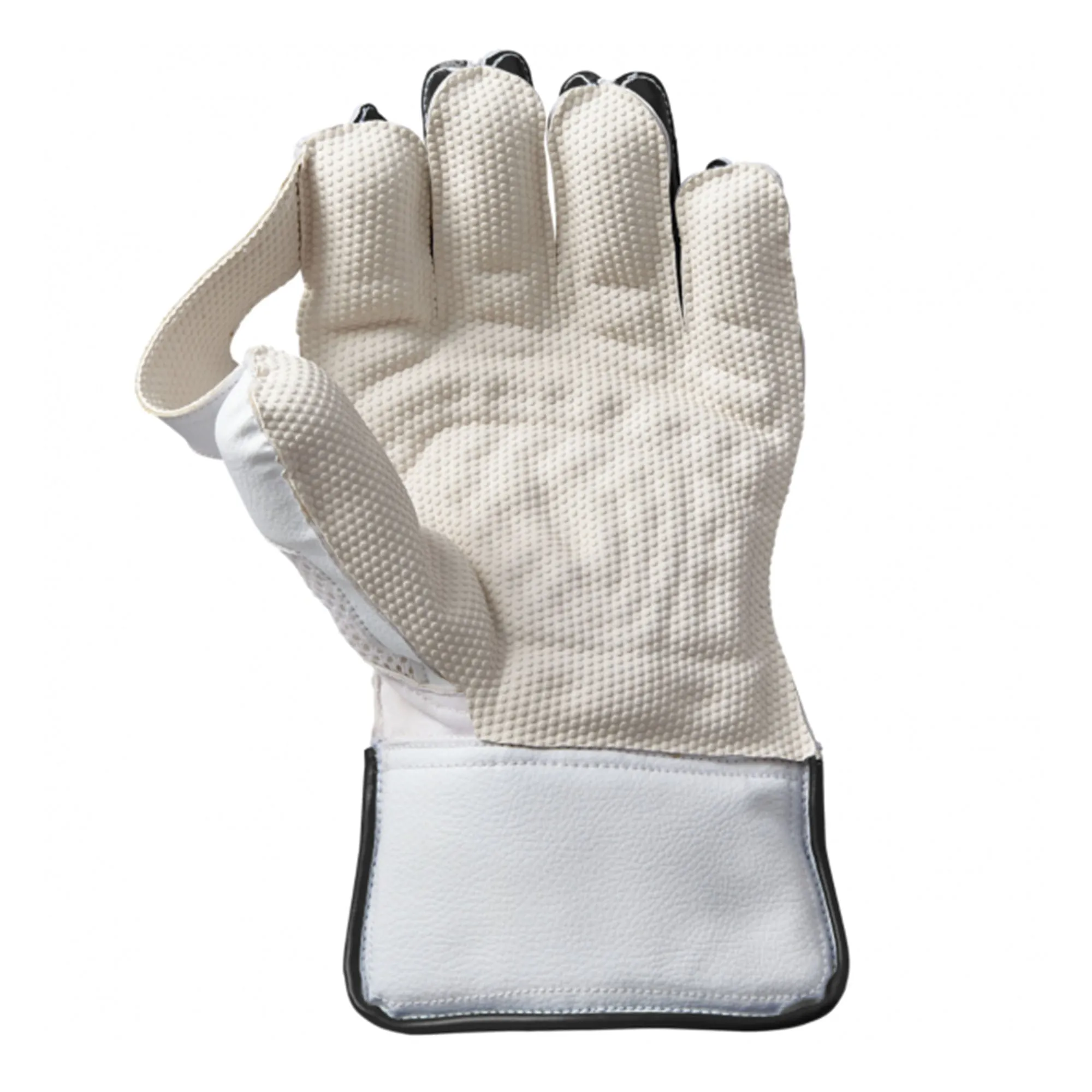 Aion Wicket Keeping Cricket Gloves