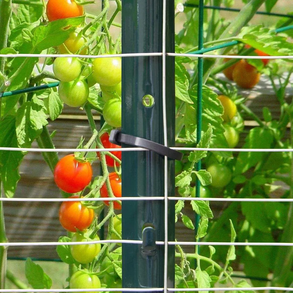 Angel Sar 48 in. x 1.2 in. x 1.2 in. Metal Fence Post U Post Green for Garden Wire Fence Steel Garden Post Sign Post (10-Pack)