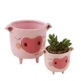 Baby Pig Planter