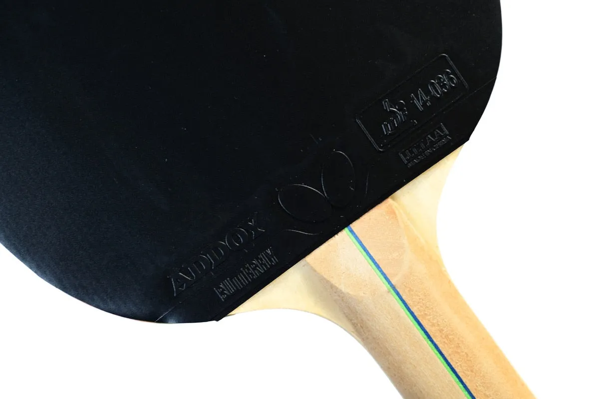 Butterfly RDJ 2-Player Table Tennis Paddle Set