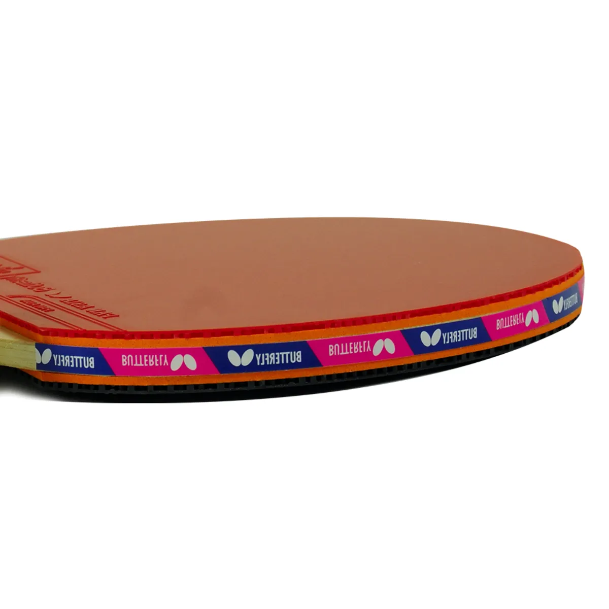 Butterfly Timo Boll 2000 Table Tennis Paddle (2 Balls Included)