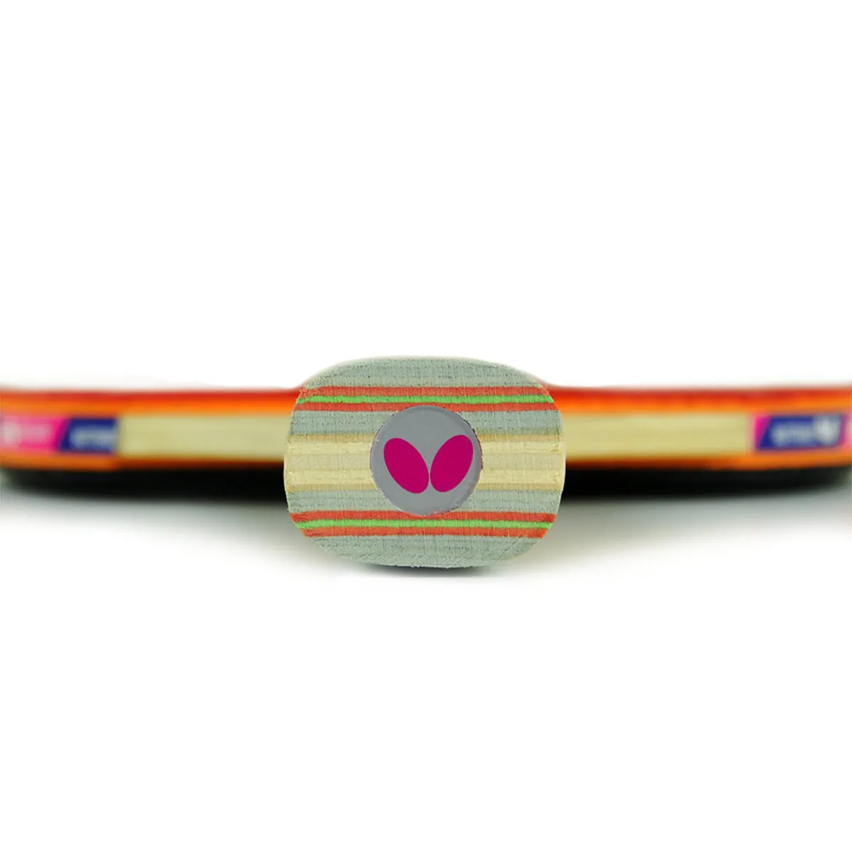Butterfly Wakaba 3000 Table Tennis Paddle (2 Balls Included)