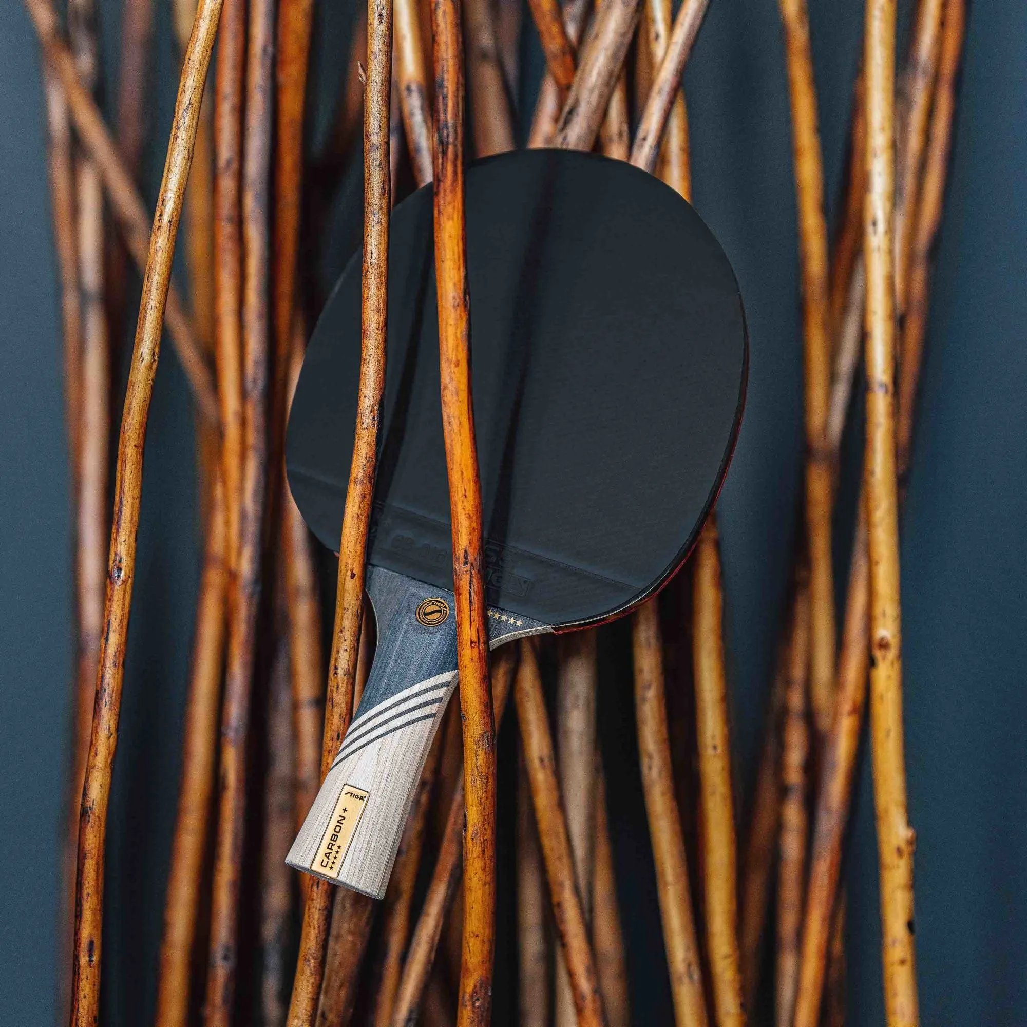 Carbon  Table Tennis Racket