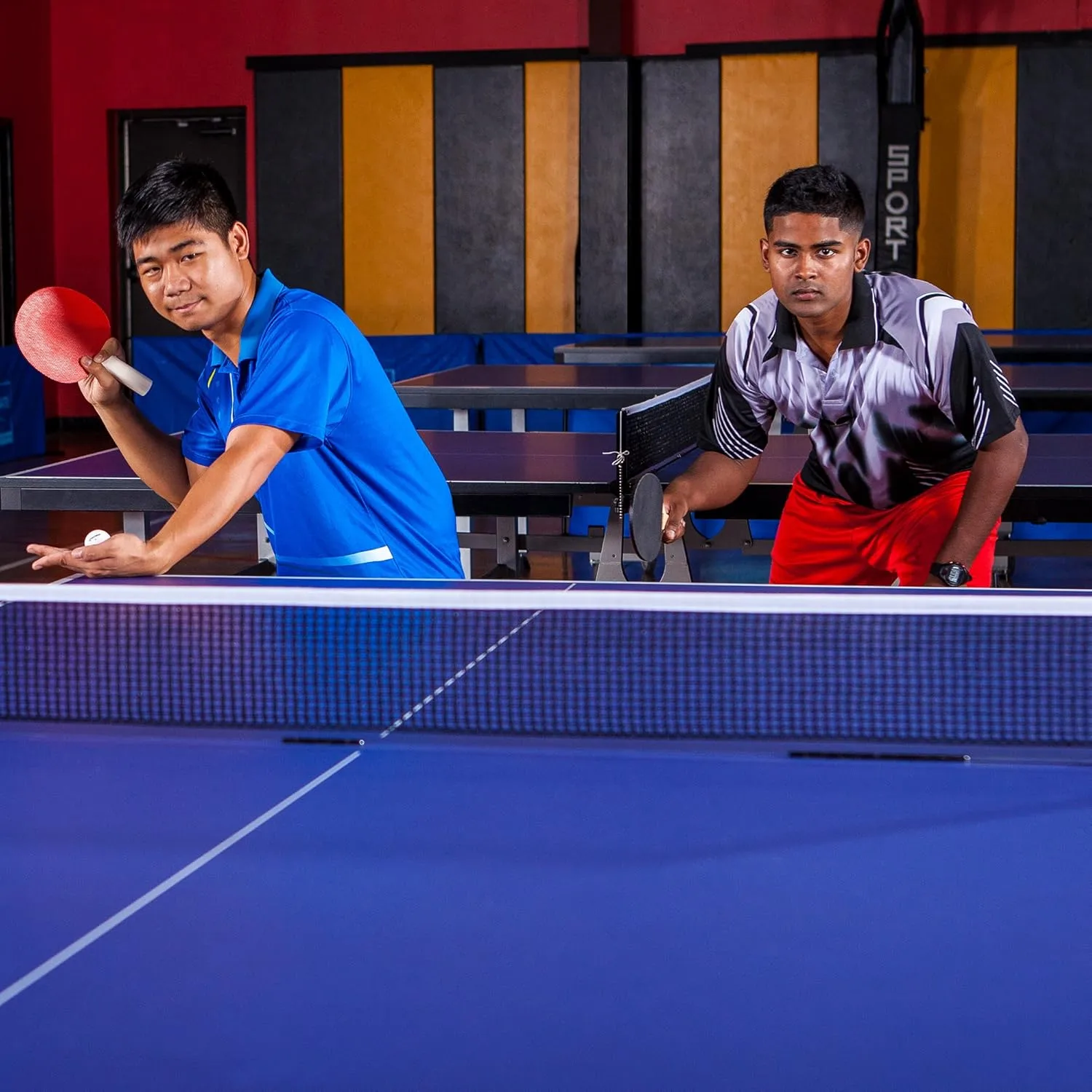Champion Sports Champion Sports Table Tennis Net