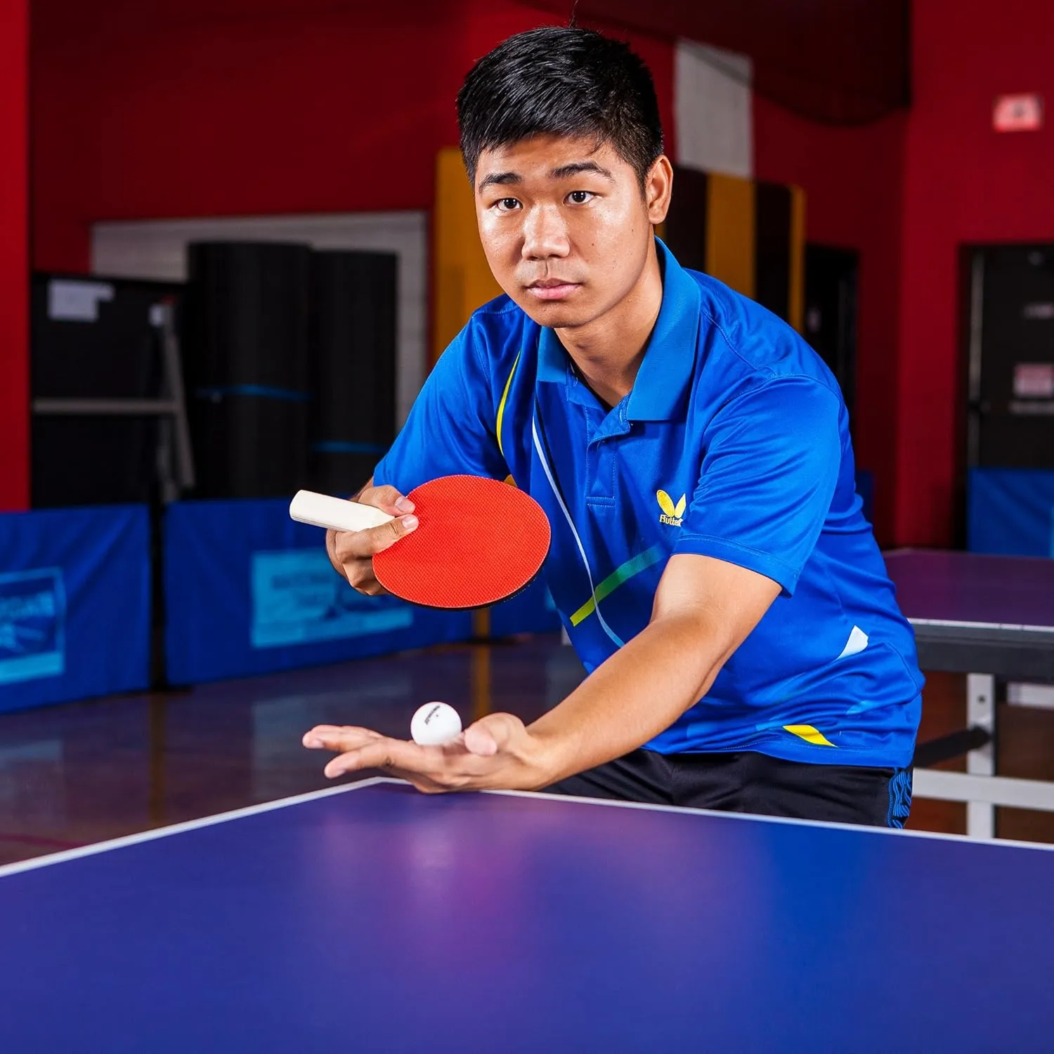 Champion Sports Champion Sports Table Tennis Net