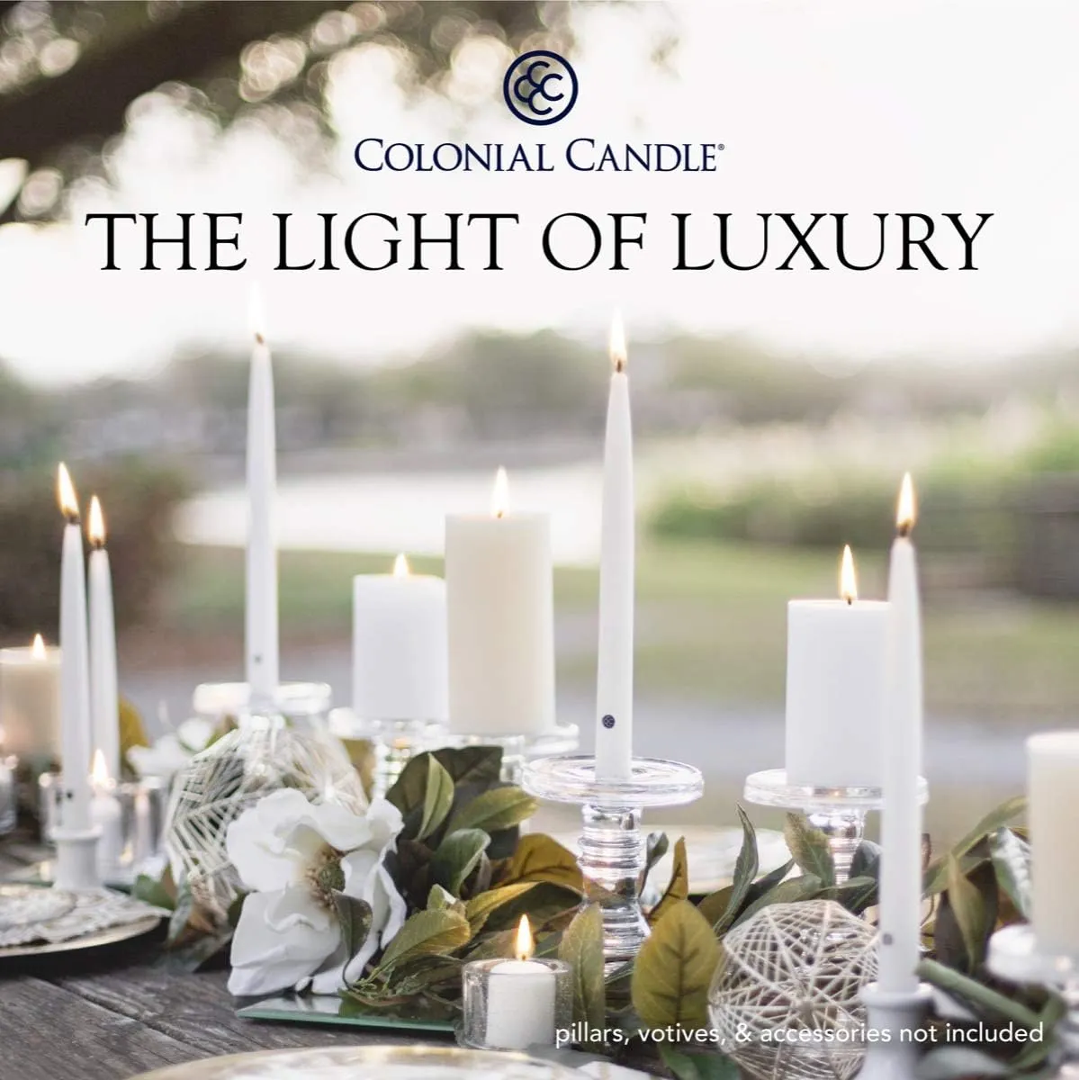 Colonial Candle Unscented Taper Candle, Handipt Collection, Wedgewood, 10 In, Pack of 12 - Up to 8 Hours Burn
