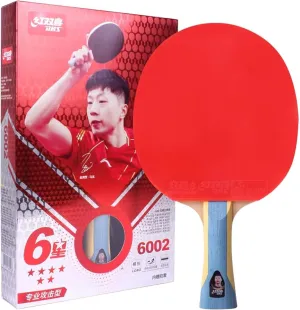 DHS 6002 Table Tennis Paddle