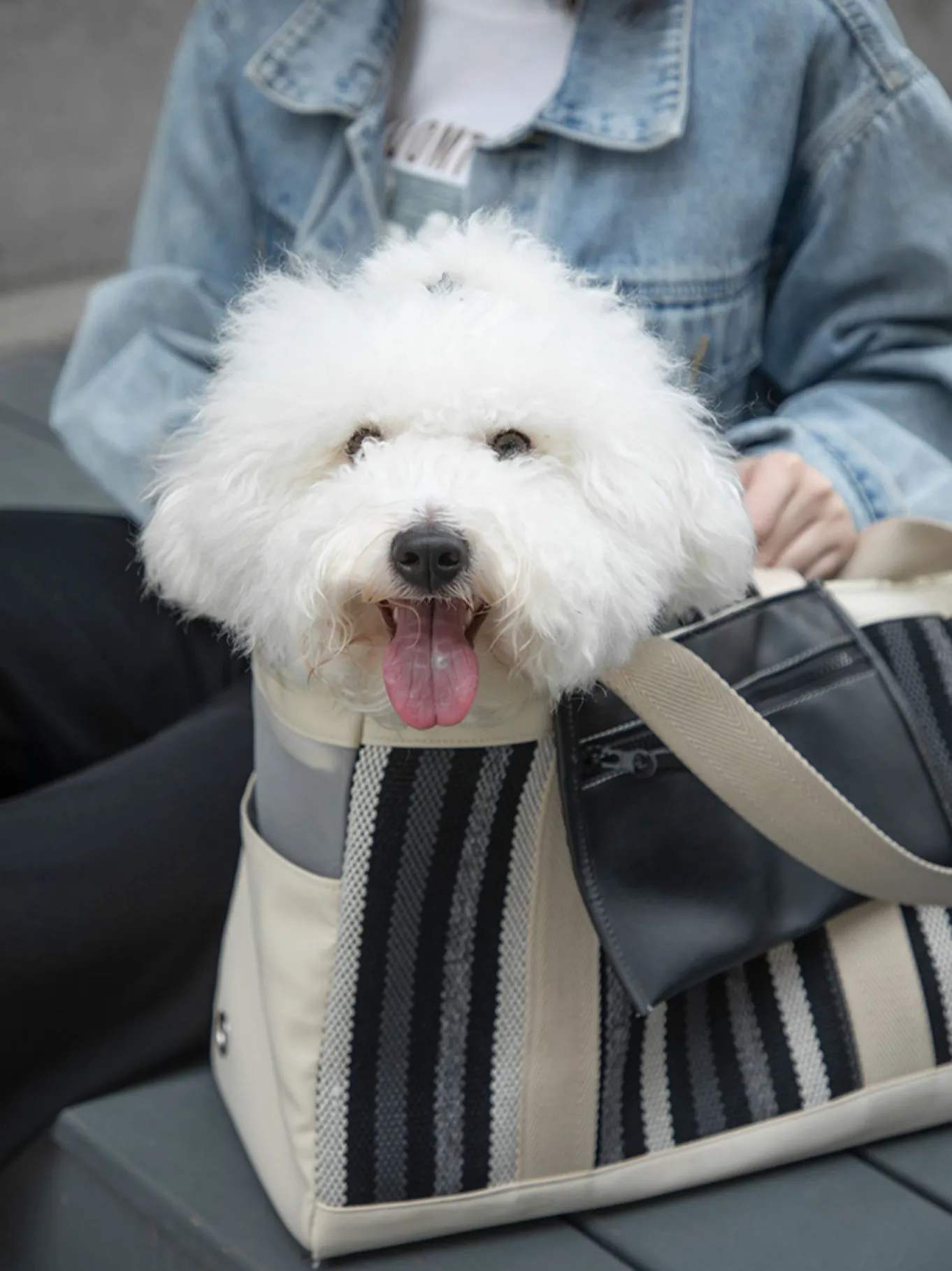 Fashion Stripe Shoulder Pet Travel Bag