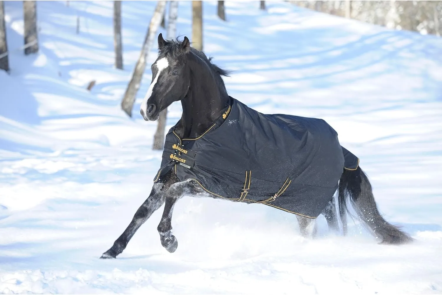 Irish Turnout Blanket Extra 300g