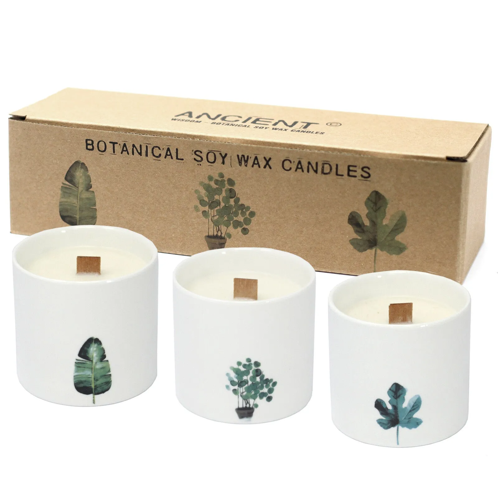 Large Botanical Candles - Victorian Peony - Per case: 1 Piece