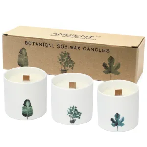 Large Botanical Candles - Victorian Peony - Per case: 1 Piece
