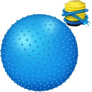 Large Sensory Massage Ball Bouncy Exercise Ball with Tactile Spikes 22 inch Big Inflatable Balls with Air Pump for Girls Boys Outdoor Indoor Pool Beach