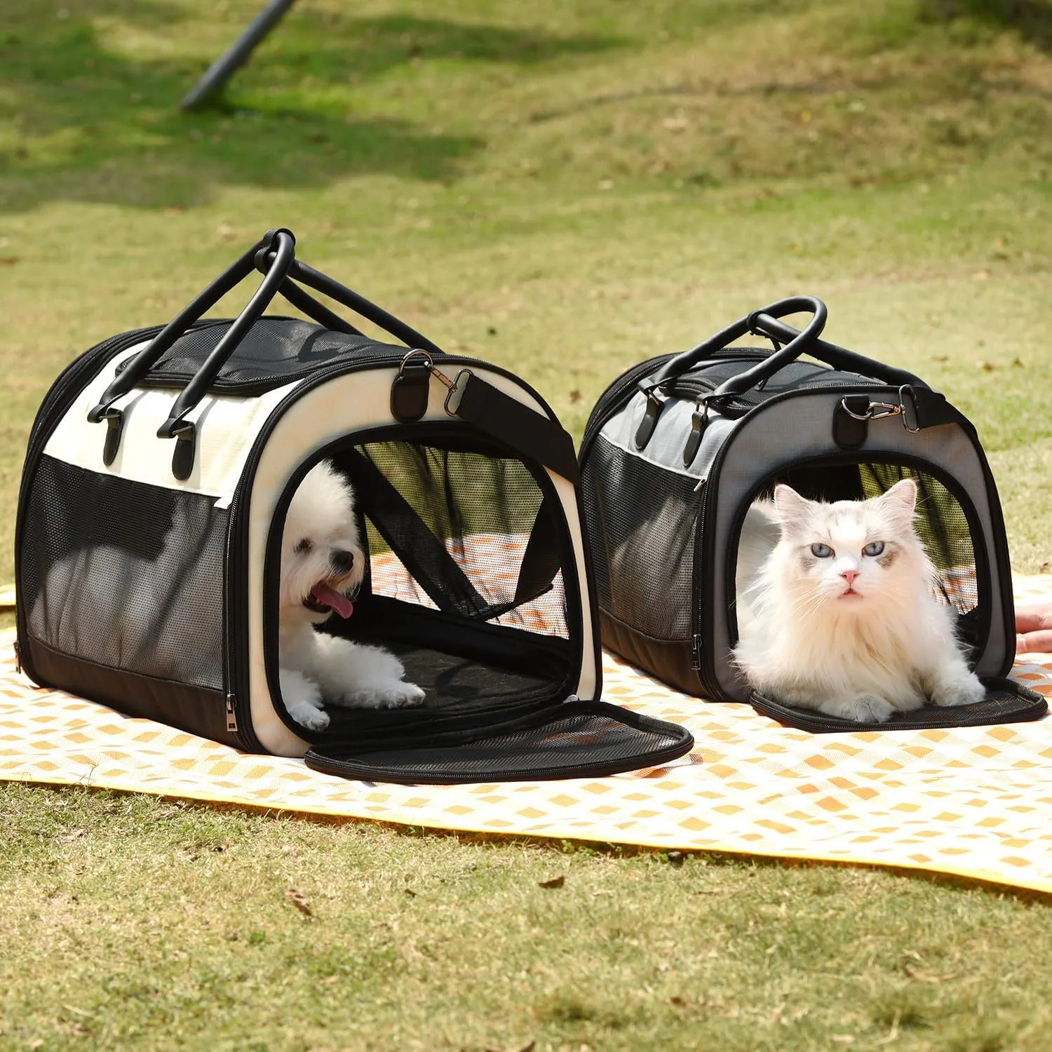 PET MARVEL Cat Carrier Soft Sided for Small Medium Cats Puppy up to 15 Lbs, Airline Approved Mesh Pet Travel Bag, Breathable Bite-Resistant Fabric with Removable Washable Mat