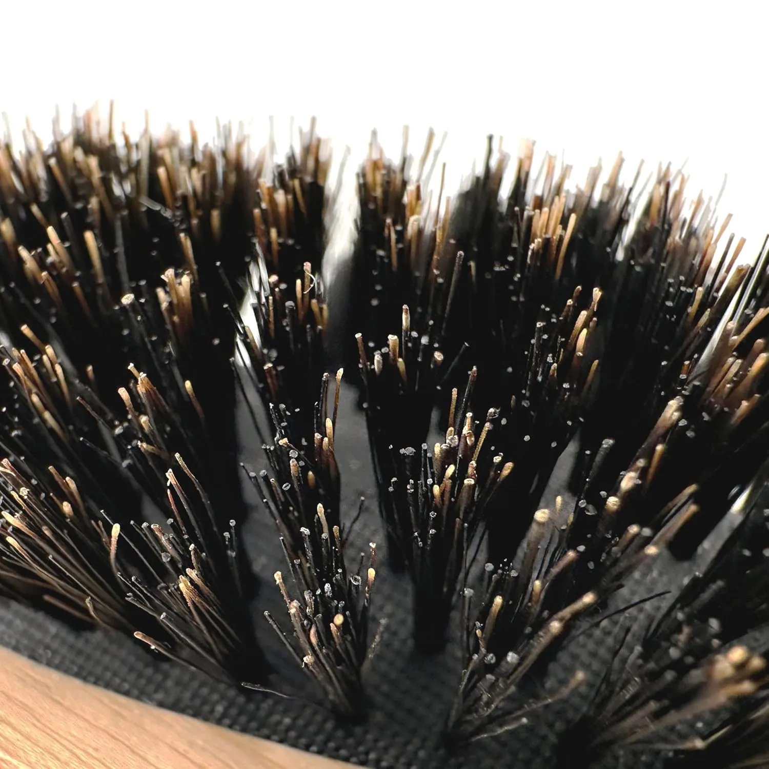 Phillips Brush Gentlemens’ Quarters Captain Oval Cushion Boar Bristle Hair Brush for Men