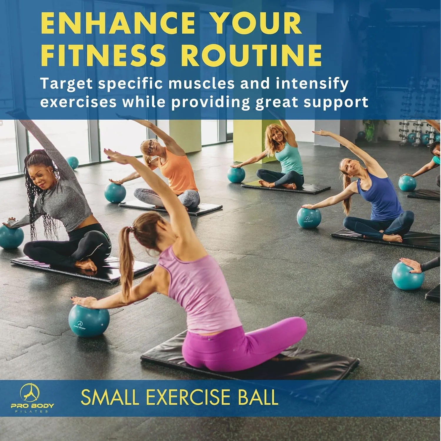 ProBody Pilates Small Exercise Ball with Pump - 9 Inch Workout Ball for Stability, Barre, Yoga, Core & Physical Therapy