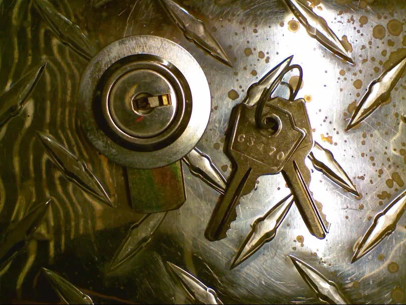 REAR TRUNK LOCK (#29753821)