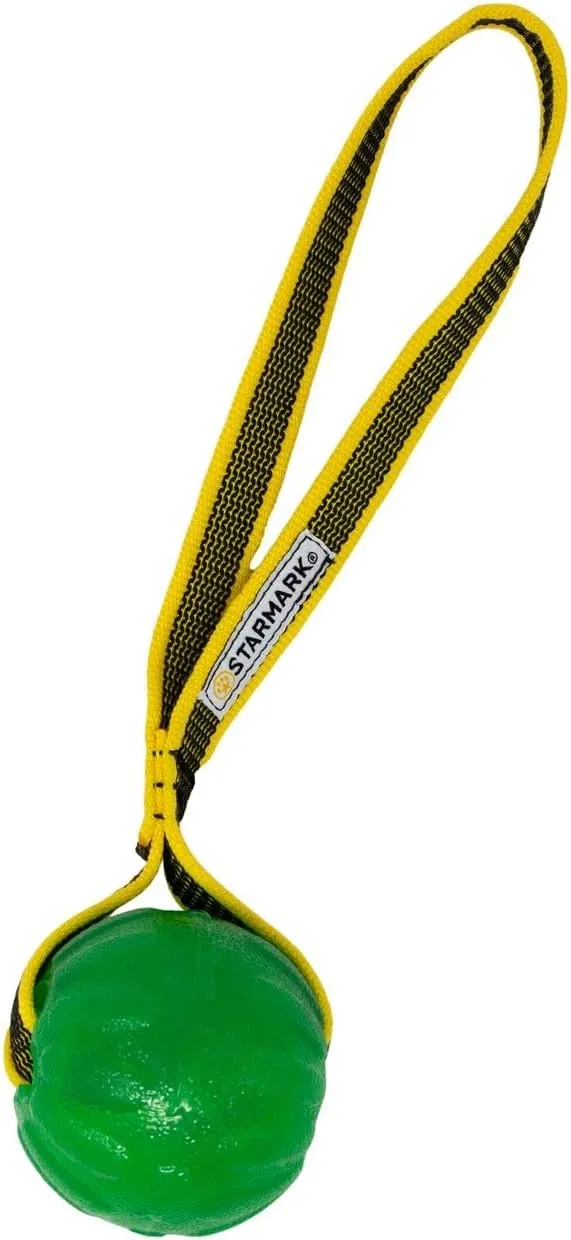 Starmark GripCord Chew Ball Loop Medium