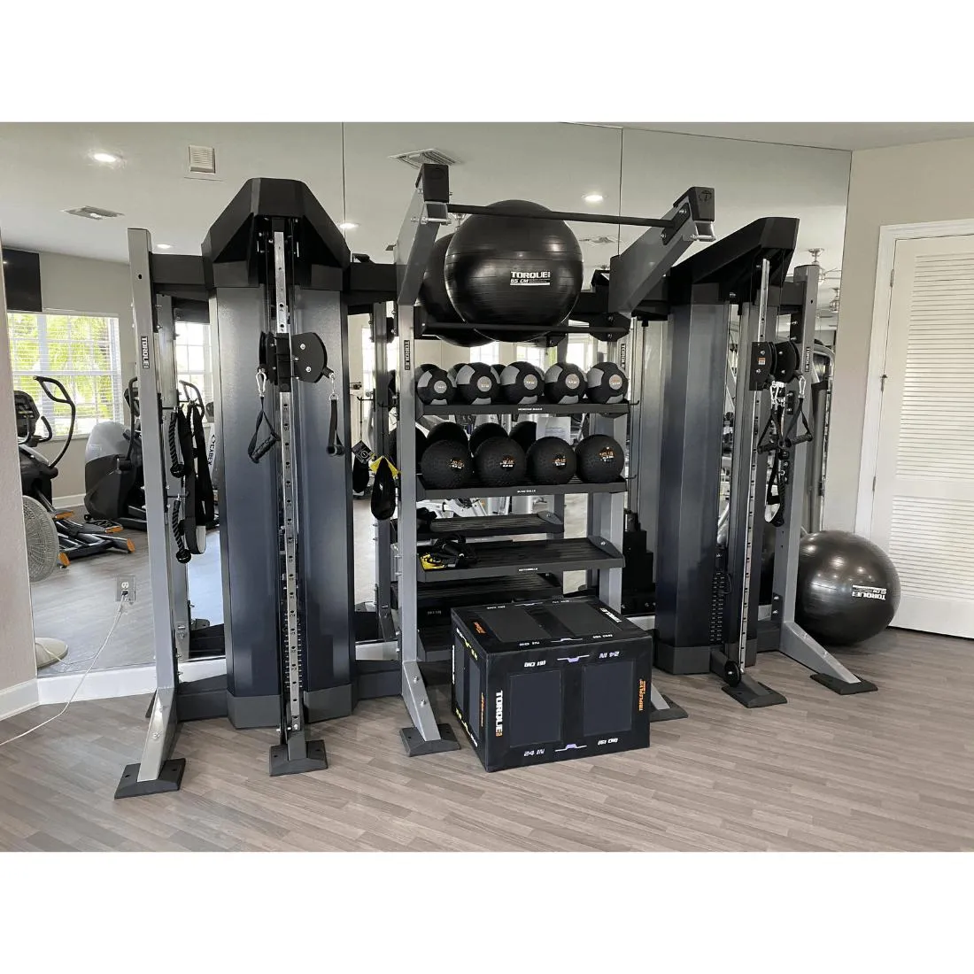 Torque Medicine Balls