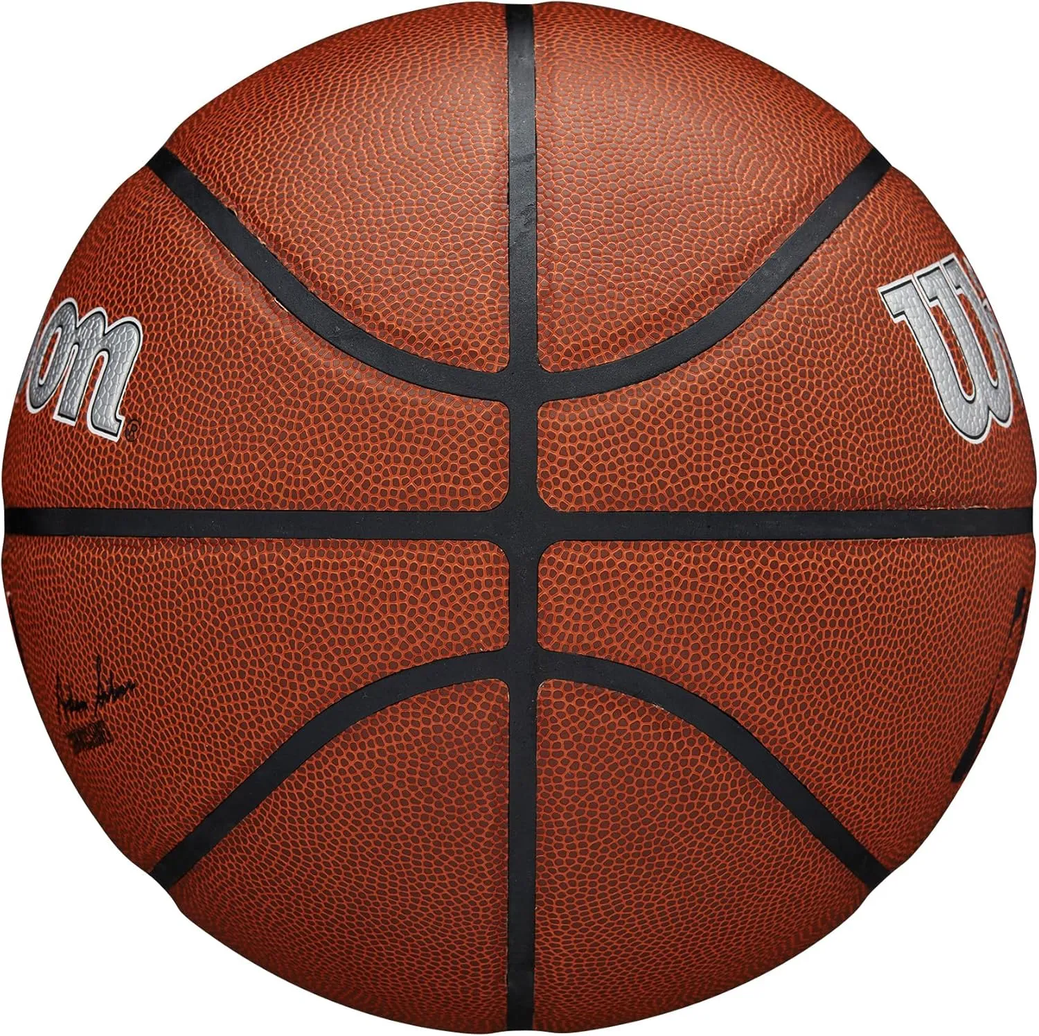 WILSON NBA Team Alliance Basketballs - Size 7-29.5"