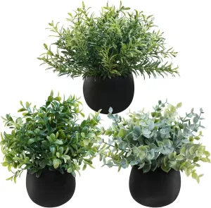 Winlyn Set of 3 Small Potted Faux Plants 8" Artificial Eucalyptus Rosemary Boxwood Plants in Black Concrete Pot Desk Plants for Home Office Bathroom Kitchen Counter Shelf Coffee Table Windowsill Décor